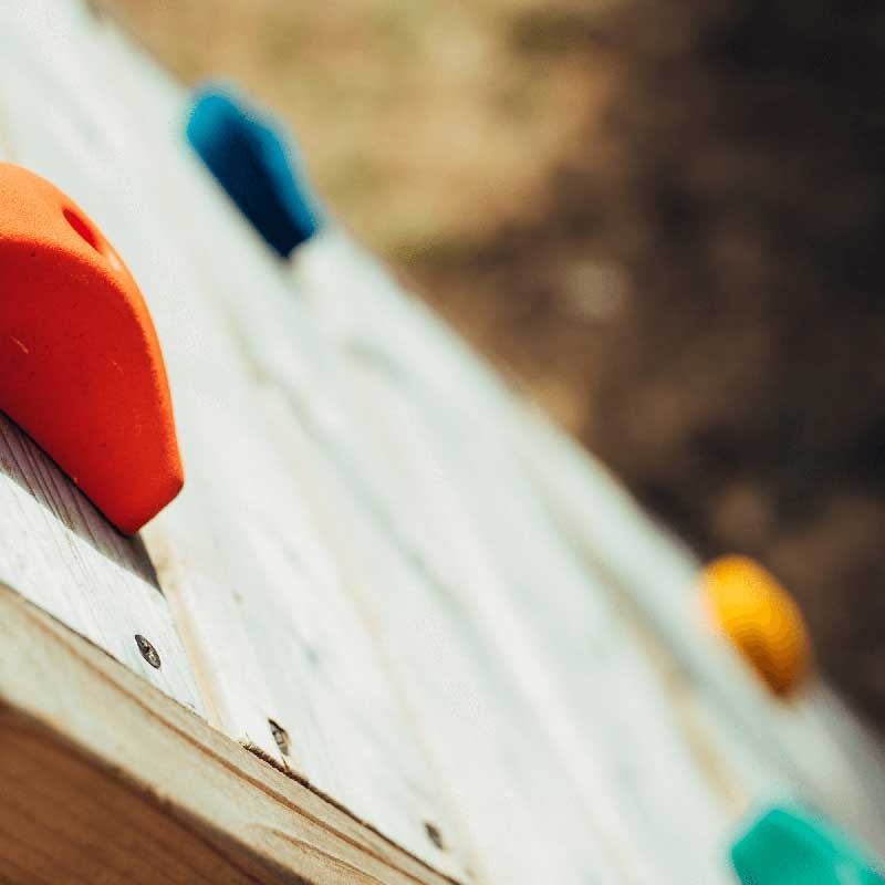 Plum Bison Outdoor Playset